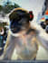 make a viral ai vlog with bigfoot, monkey, or any crazy idea