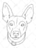 draw vector line art illustration from your photo