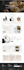 design or redesign wordpress business website
