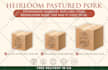 design professional flyers and posters within 5 hours