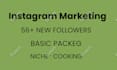 manage, promote and grow your instagram page organically