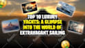 create cash cow videos, youtube automation content creator