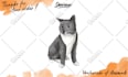 draw a simple watercolor portrait of your pet