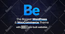 set up premium wordpress theme or plugin