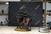 paint any warhammer you want