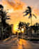 collect any types of royalty free hd images for you