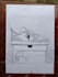 sketch handmade color pencil portrait drawing with shipping