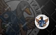 design unique mascot logo for sports, twitch, gaming,esports