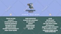 create professional canva graphic designs