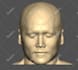 convert medical dicom images to stl and 3d printable models