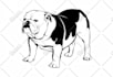 draw custom black and white vector art, silhouette, line art, stencil design