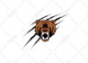 design animal, mascot logo, wolf, tiger, eagle, bear, fox