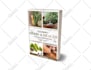 be your ebook author, ebook creator, ghostwriter, amazon KDP digital book writer