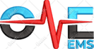 do embroidery digitizing into dst,pes,exp,jef file in 1 hour