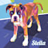 draw pop art of dog cat pet animal portrait