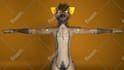 make custom vrchat avatar, vrc avatar, furry, vtuber, 3d model, vseeface, nsfw