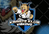 do stunning cartoon mascot sports team logo and sports event