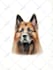 draw realistic color pencil pet portrait, pet sketch
