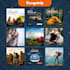 be your social media marketing manager and content creator