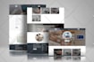 do wordpress website design and development or business website redesign