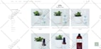create a shopify store, website design, ecommerce