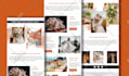 create an email template, campaign and automation setup using mailchimp