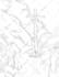 turn your image or photo into line art for coloring book