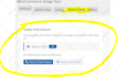 import your products using wp all import