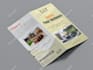 do professional brochure, bi fold, tri fold,and flyer design