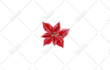 background removal or cut out images professionally