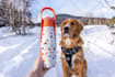 create dog ugc video ads or photo with my golden retriever