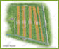 render rv park, campground map, site plan, or vector map