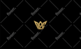 design professional  initials logo for esports, twitch, youtube