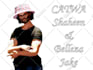 coordinate an avatar makeover in second life