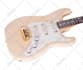 teach you a beginning to high level guitar or bass lesson