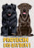 draw your dog and cat into cartoon portrait