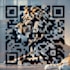 craft amazing qrcode in many art style