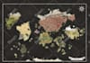 create a fantasy map for you
