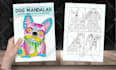 design a adult animals mandala coloring book for KDP and etsy