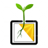 convert your sketch to vector ai,eps,svg,pdf