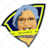 design twitch mixer obs overlay facecam screen alert for stream