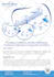 design professional roll up banner, signage, or standee