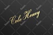 do custom typography, scripted, handwritten, cursive, signature font logo design