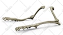 convert medical dicom images to stl and 3d printable models