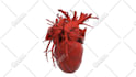 convert medical dicom images to stl and 3d printable models