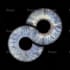 create an amazing unique iris art for you