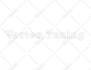 create a professional signature, font, word and text logo