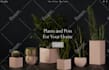 build squarespace real estate website idx mls integration property management