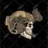 design illustration, skull, military, soldier and warrior