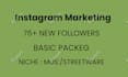 manage, promote and grow your instagram page organically